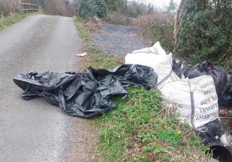 'Shocking': two tonne bags of waste illegally dumped on Laois road
