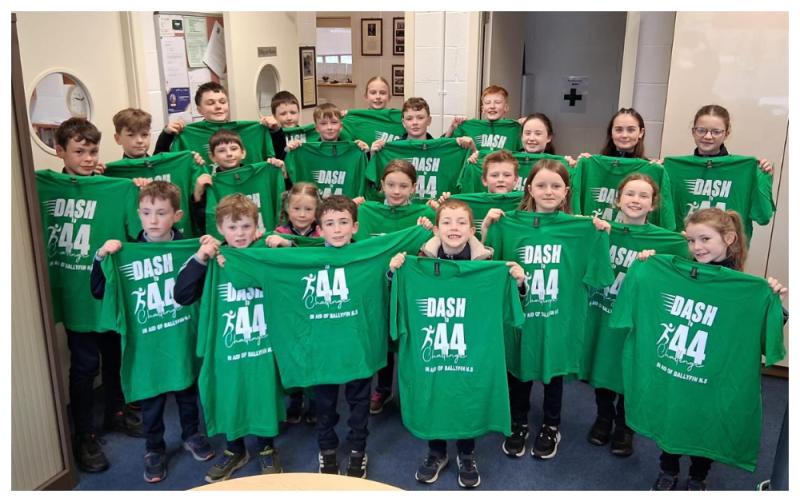 Laois school set to take on record-breaking dash across Laois GAA pitches