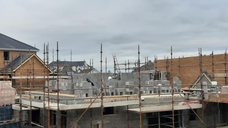 Laois towns need affordable to buy housing scheme says Independent  TD 