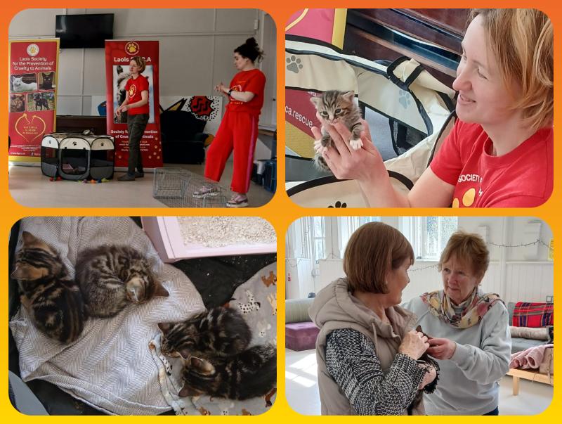 Pictures: Coffee and cuddly kittens in Rathdowney at Laois Partnership Company event