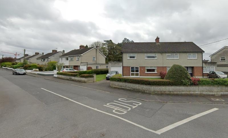 Storm Éowyn destroyed mature trees in Portlaoise housing estate