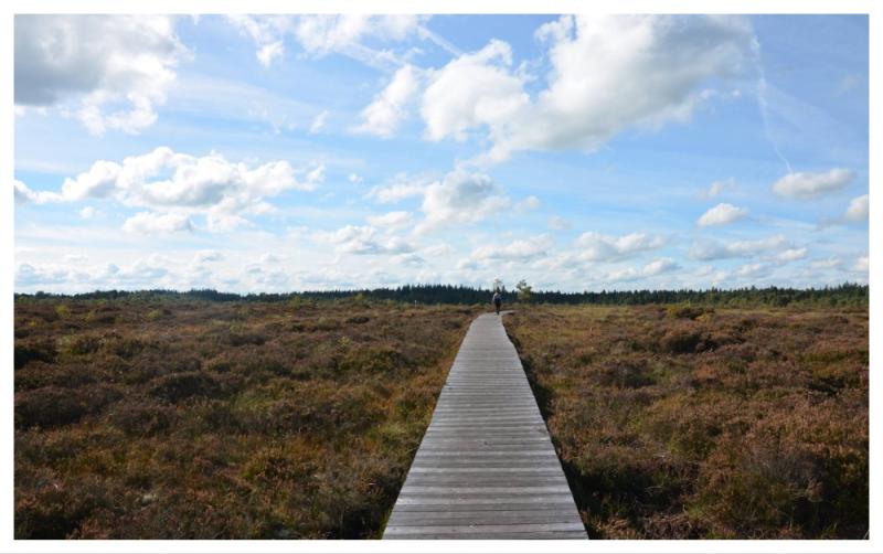 Two popular community projects in Laois to benefit from major funding 