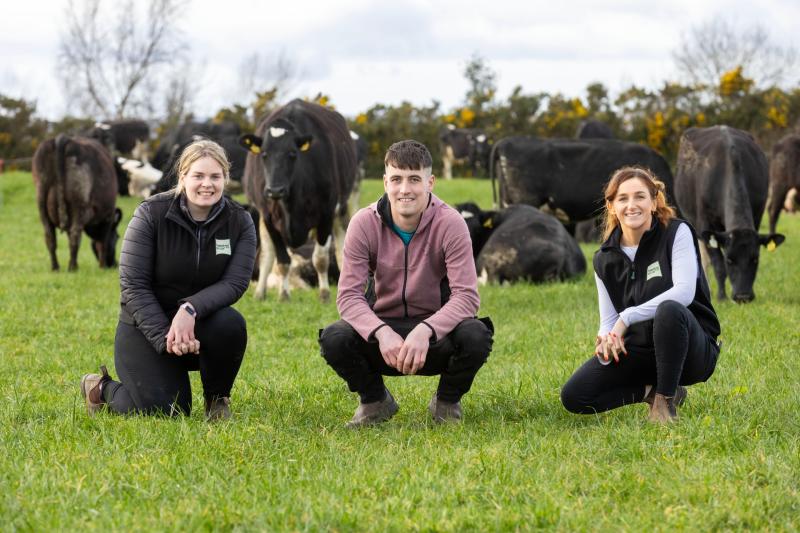laois farming mountrath