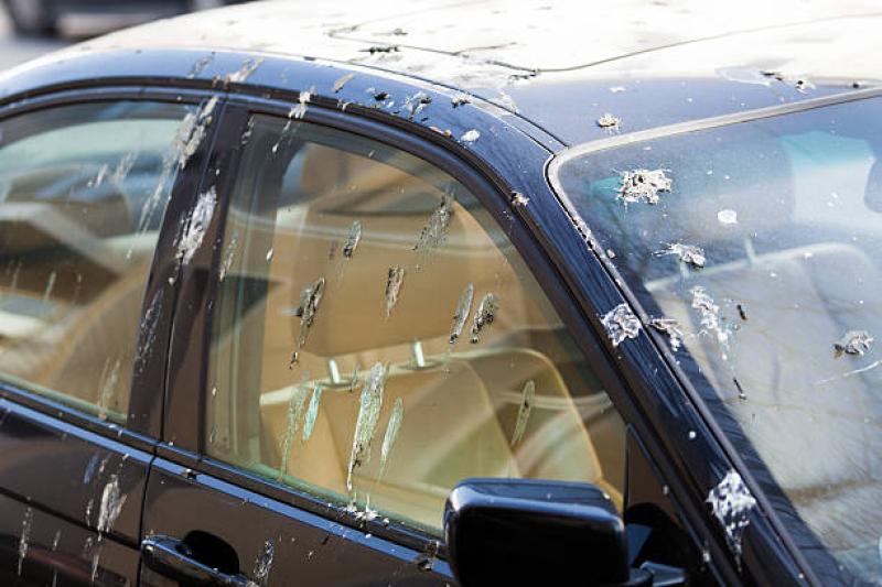 File photo of bird droppings on a car