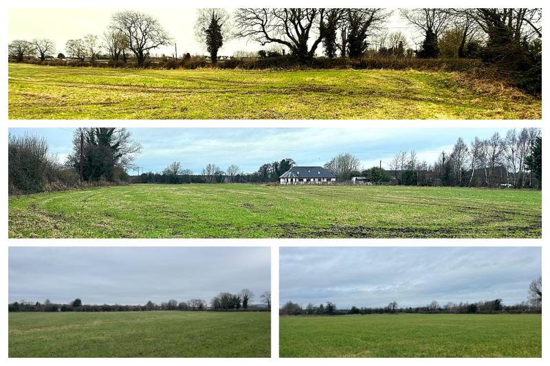 Laois based auctioneer seeks more agricultural land after 30 acress snapped up by farmer