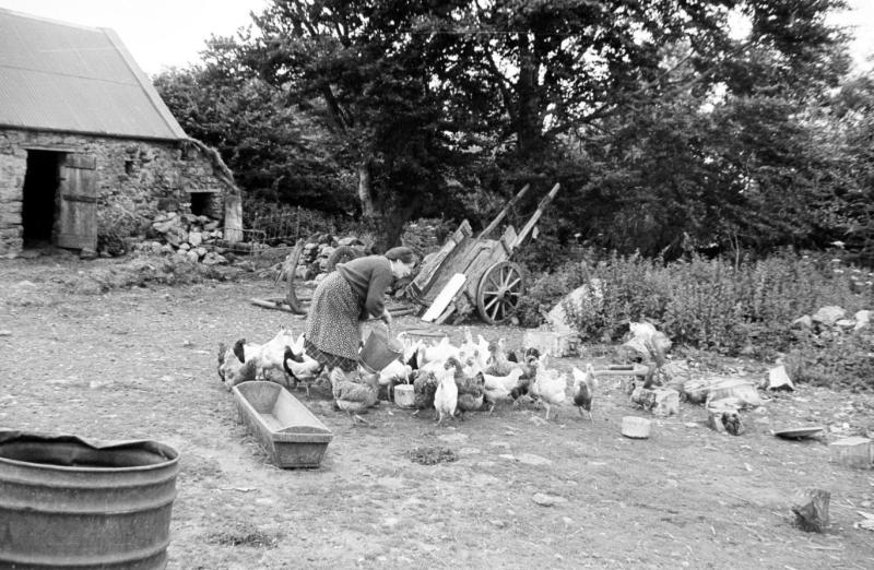 Louth memories featured in National Museum book on rural life