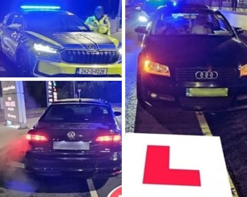 Portlaoise gardai