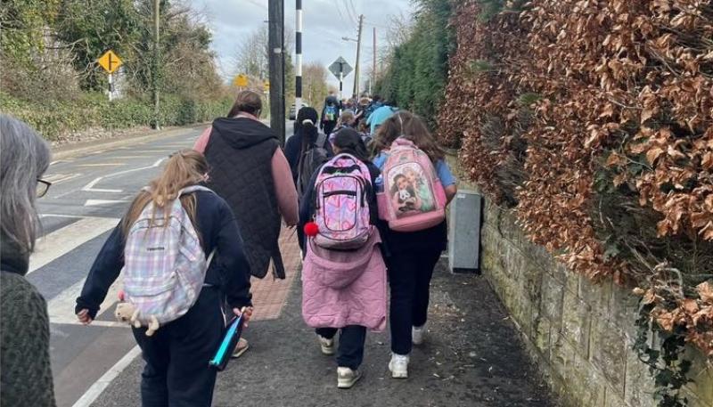Sunshine causing traffic danger at Laois pedestrian crossing