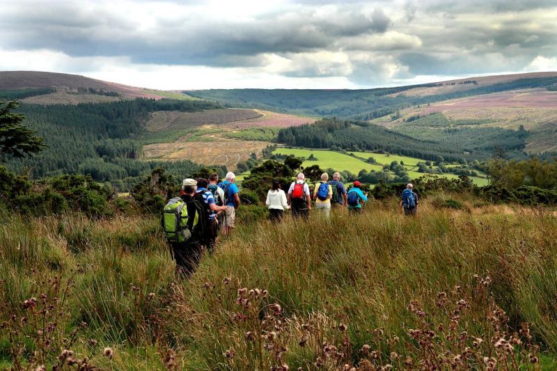 GUIDE: All you need to know about this year's Slieve Bloom Walking Festival