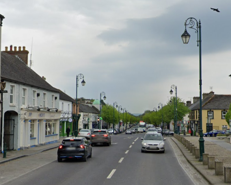 Plans to build 51 houses near billionaire's Laois mansion appealed