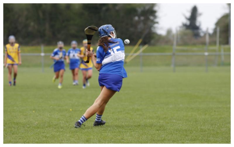 Unbeaten Laois Camogie team put record on the line against Kilkenny in Leinster semi-final