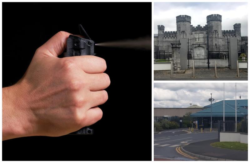 Laois prison officers to use pepper spray in Portlaoise jails 