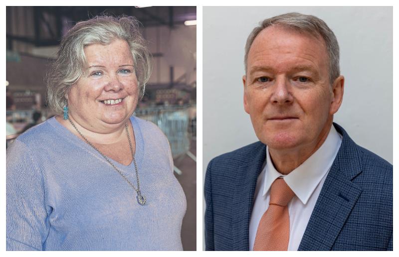 Brian Stanley Sinn F&eacute;in Laois Offaly