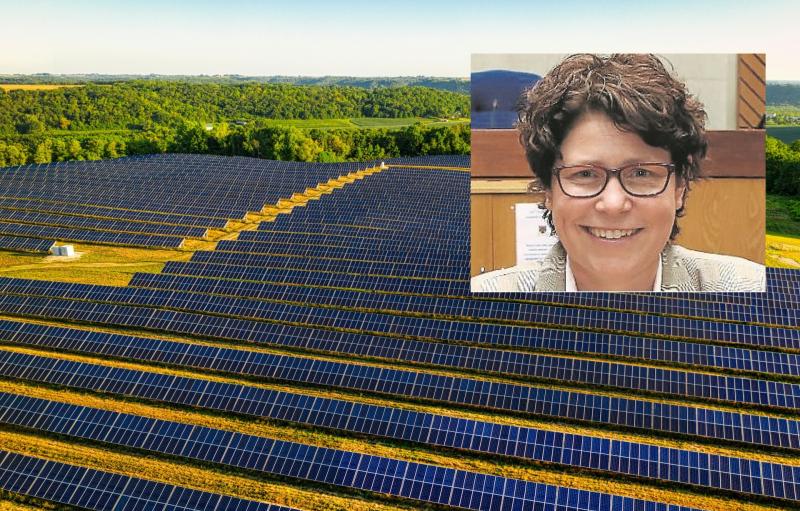 Laois farmland 'destroyed' by solar farms claims councillor