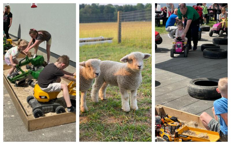 Baby animals and toy tractors coming to Portlaoise Plaza's Fun on the Farm day