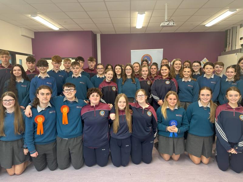Students excel at Laois school's annual science fair