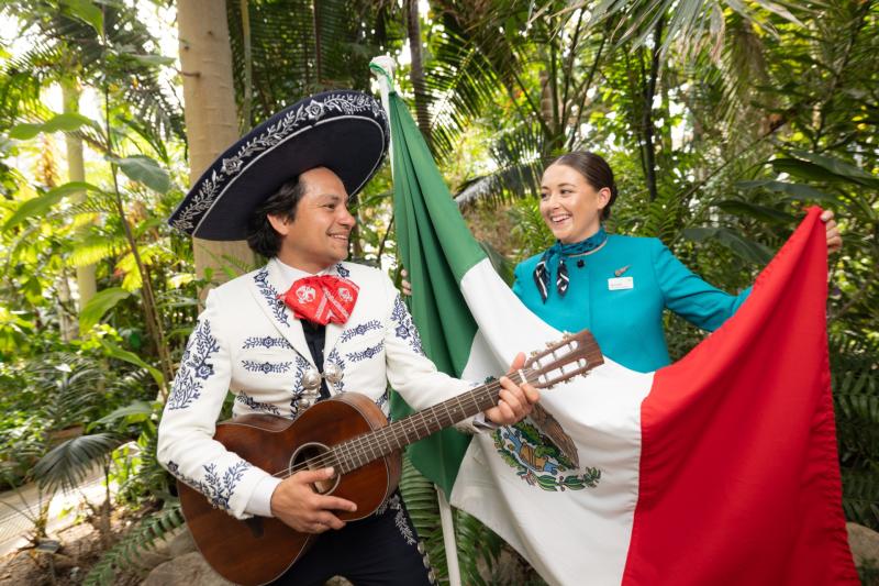 Aer Lingus announces new flights to Cancún and prices are cheaper than you think