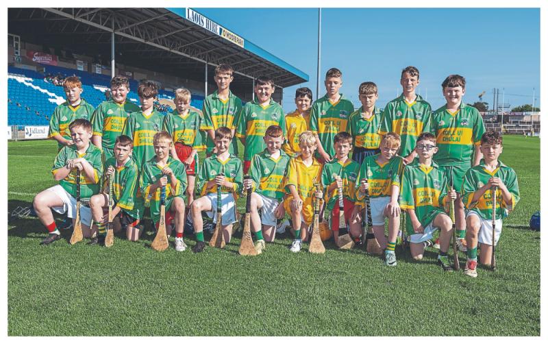  Goal-hungry Killadooley topple Abbeyleix in Shield final