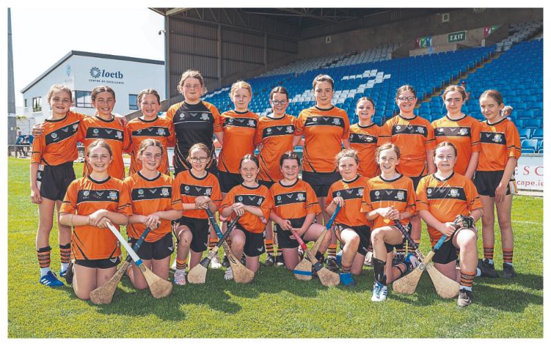 Kingston hits seven as Paddock power home in Roinn 4 Camogie final