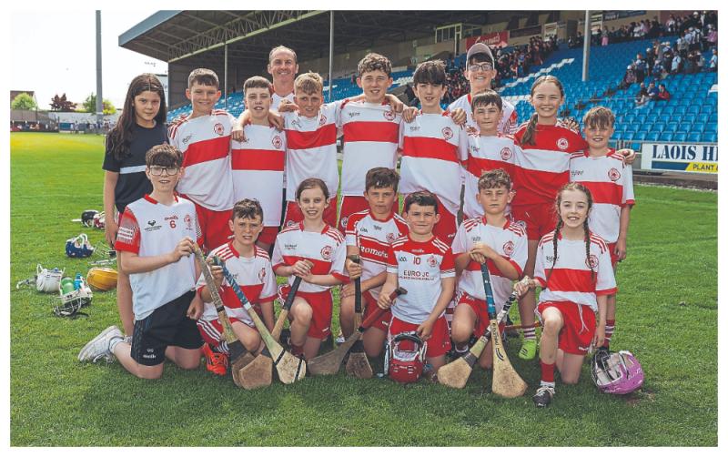 Ó Caomhánach leads the way for Trumera in Roinn 5 Hurling final