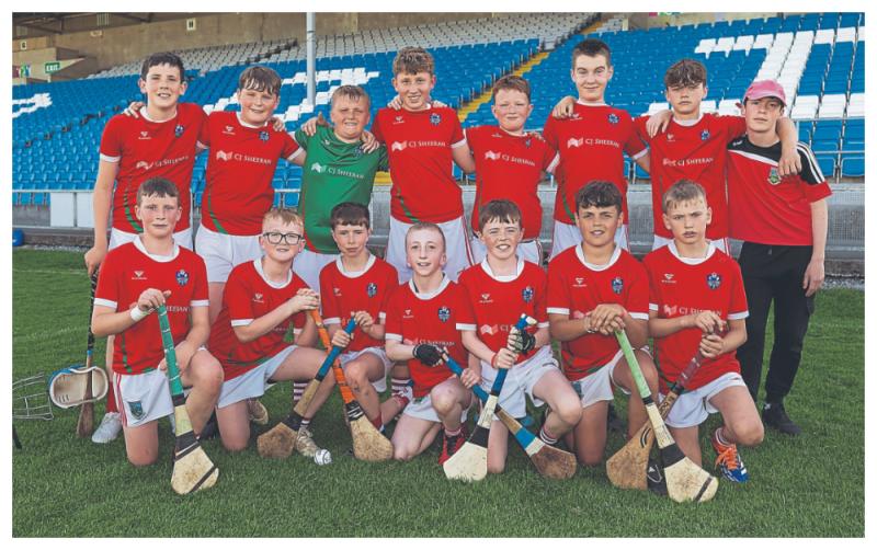  Killeen fires Mountrath to Roinn 3 Hurling glory