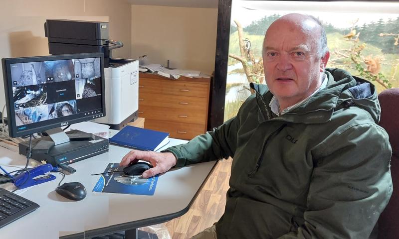 'The swallows are so cute when they hatch' nest watching in Laois for schoolchildren