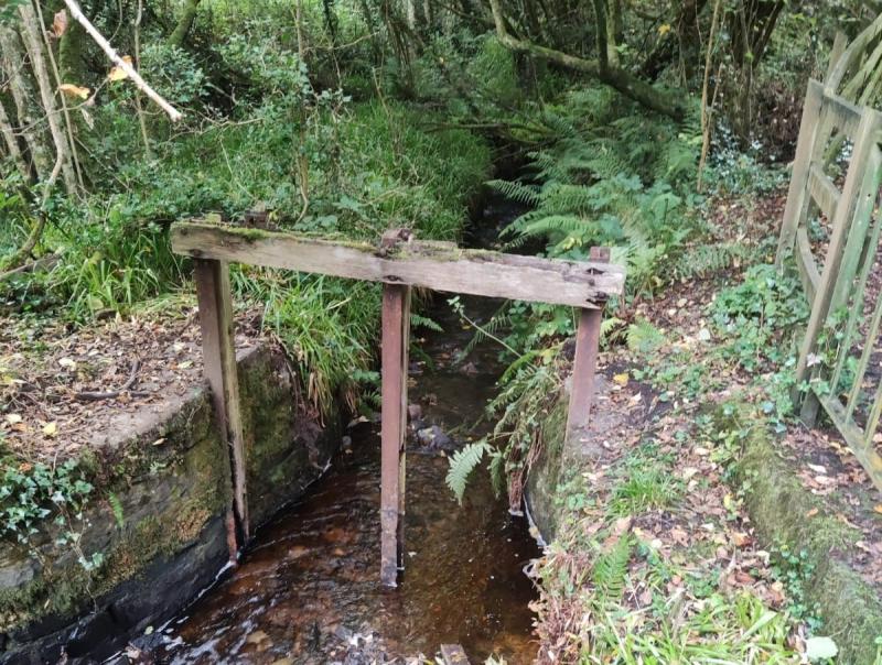Laois heritage project secures over €20,000 in funding