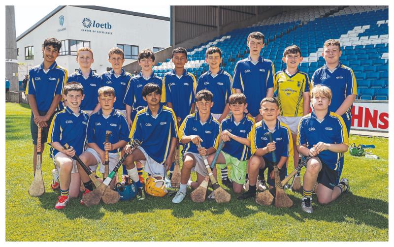 Brennan's brillance seals Roinn 6 glory for Abbeyleix against Emo