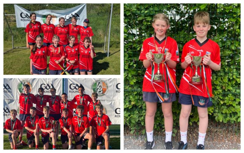 Double All-Ireland delight for Laois GAA Rounders club