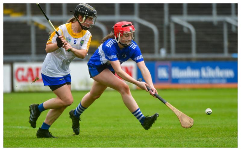 Laois Camogie team make strong start with opening day win over Wicklow