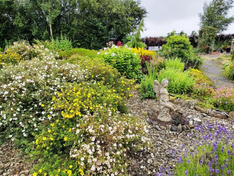 Stunning Laois gardens to hold open day for Laois Hospice