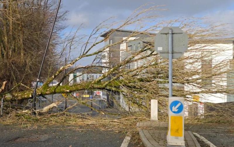 Safeguarding action yet to be taken after Storm Éowyn destroyed lives across the country