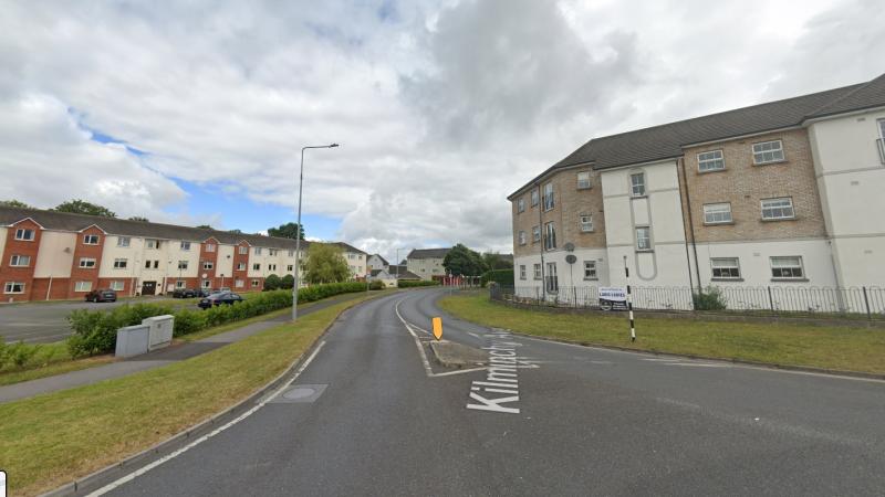 Seven areas in Laois celtic tiger housing estate to come under council charge