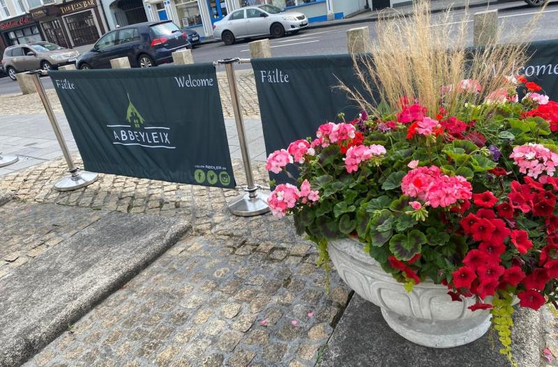 Wheelchairs and buggies in Laois town get 'a fair rocking' over stone drains
