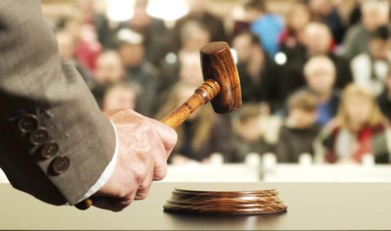 Laois land sells in lots for whopping &euro;1.5 million