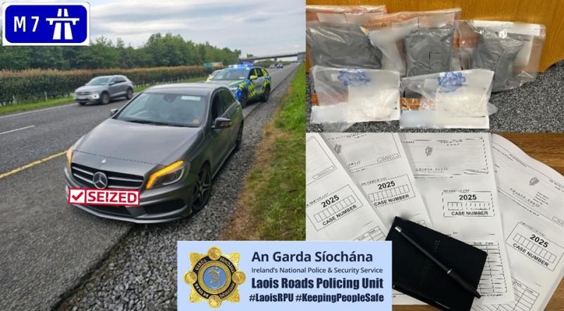 Learner driver caught with &euro;40k of drugs in Laois