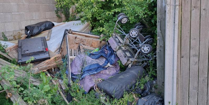 Rats in Portlaoise estate pull down 'Grade A' town in IBAL litter rankings