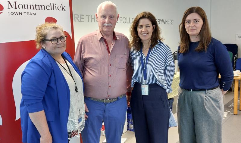 'I see a very bright future' Laois town regeneration officer focuses on Mountmellick