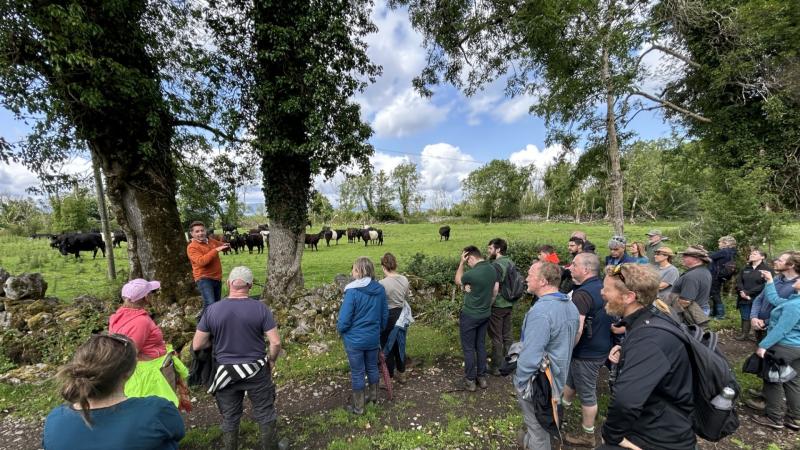 Laois farm hosting Ireland's first Farming For Nature summer festival