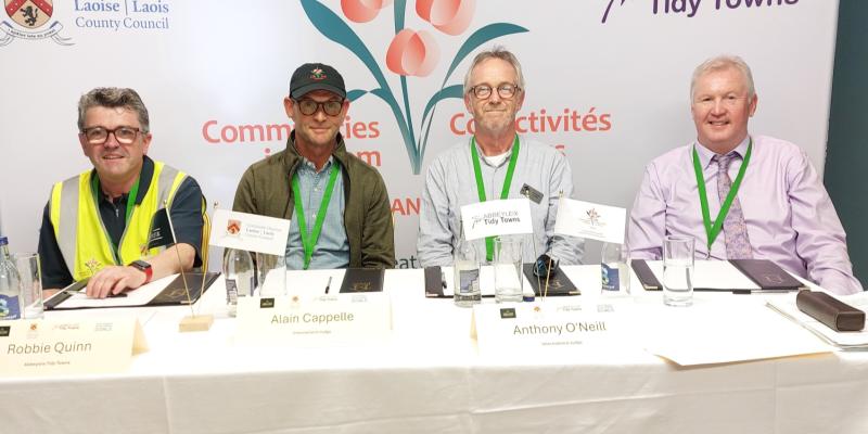 International judges find 'hidden gems' in Laois town