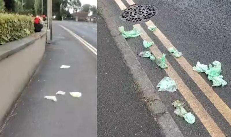 'Very serious' Laois town's doggy bags turned into missiles across N80