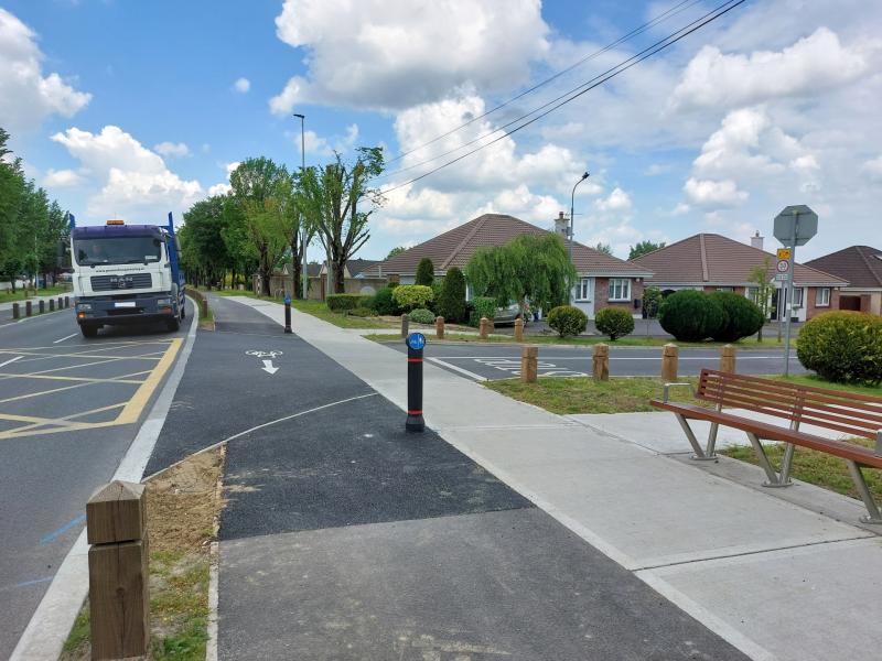 Trees cracking Laois footpaths but council will 'never' have cash to fix them