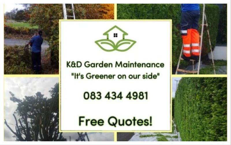 K&D Services: Your Local Experts in Tree Care, Roofing, Power Washing & More