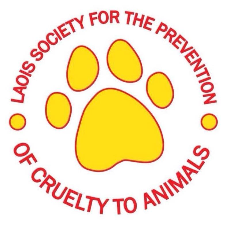 'Maybe the heat was the cause' - Concern in Laois as dog is found dead