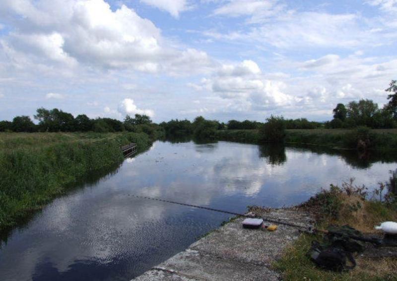 Laois funding boost to restore salmon and trout stocks 