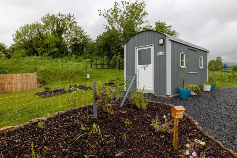 Laois village to unveil new bog oak sculpture 
