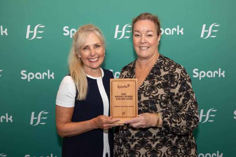 Bright Spark award for project in Laois 