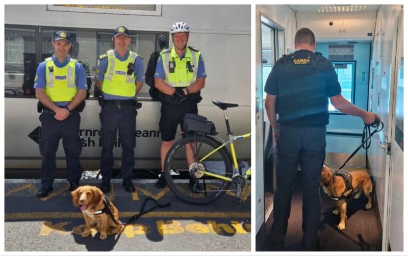 Garda sniffer dog brings 'paw and order' with eight drug busts during train station blitz