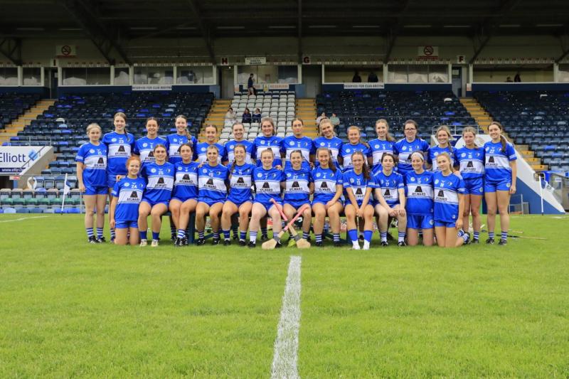 laois