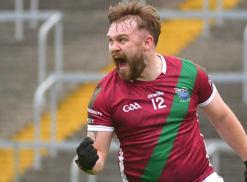 portarlington laois offaly